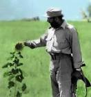نمایه کاربر