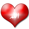 نمایه کاربر