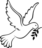 نمایه کاربر