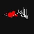 نمایه کاربر