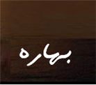 نمایه کاربر