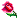 rose :razz: